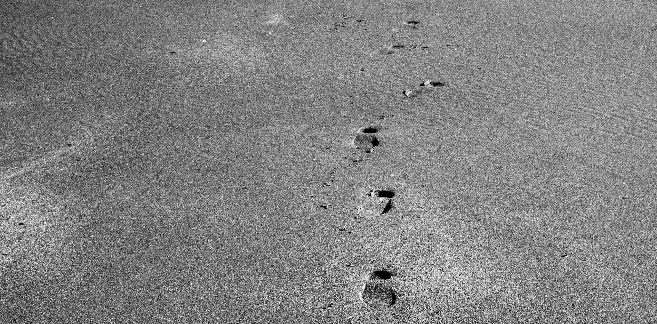 pexels-fotios-photos-7934131
