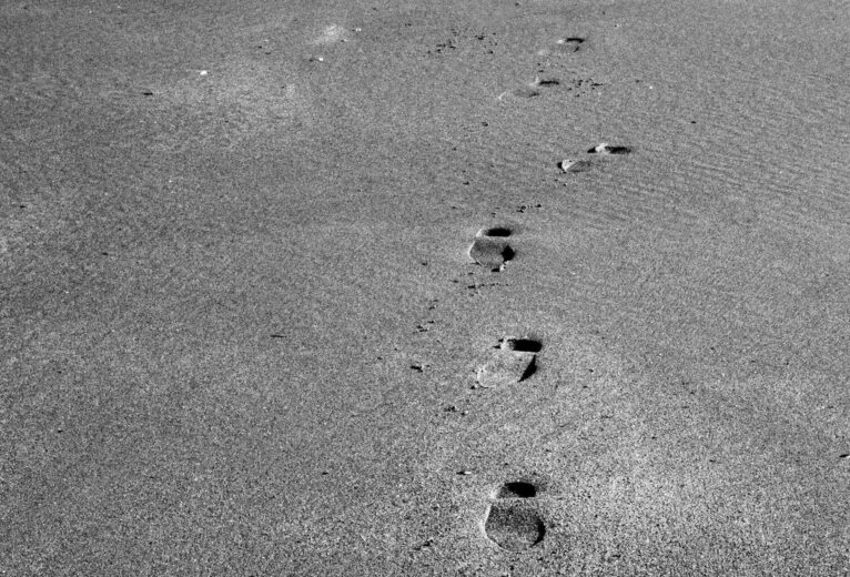 pexels-fotios-photos-7934131