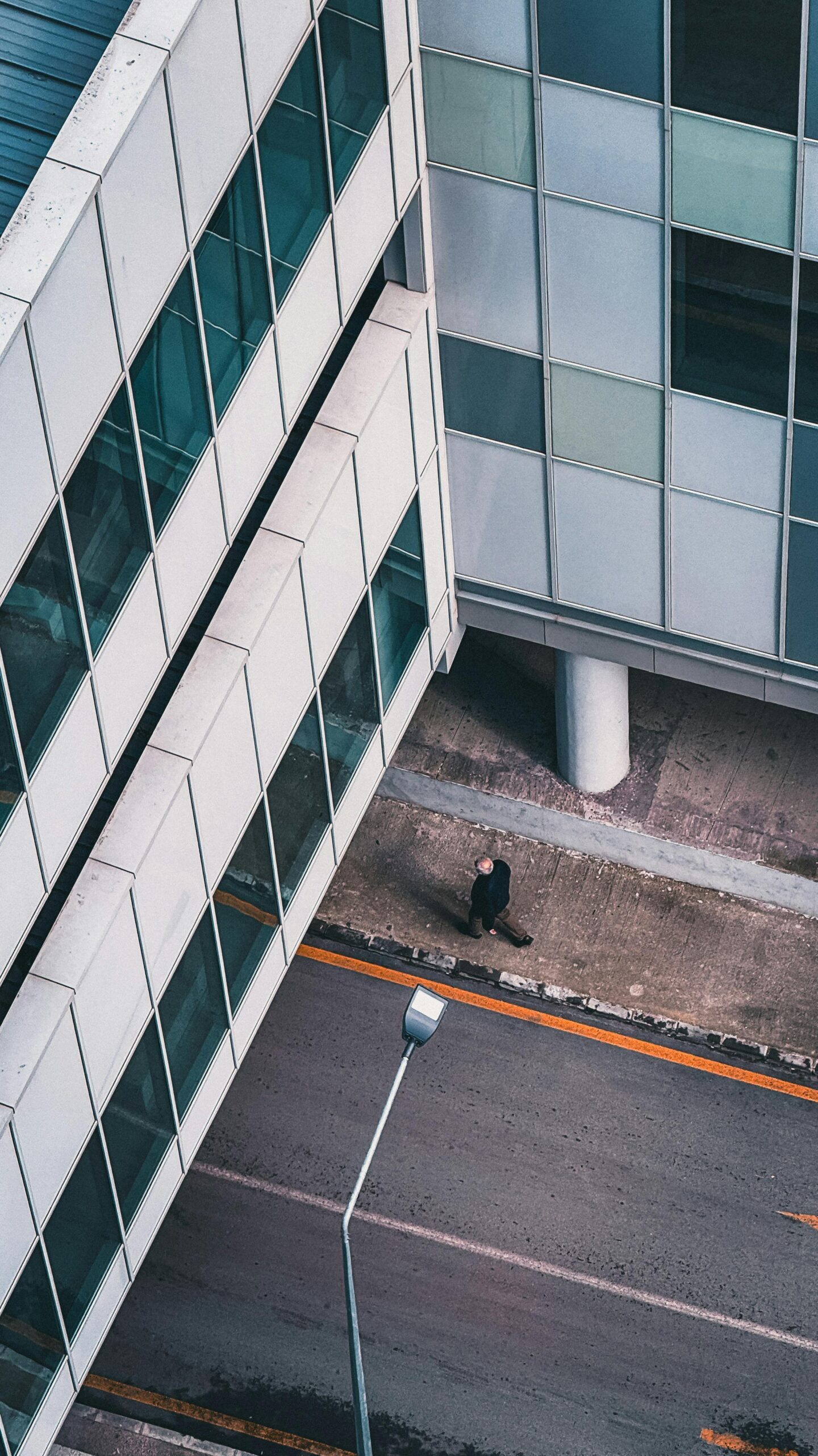 pexels-eyupcancaglar-35590645