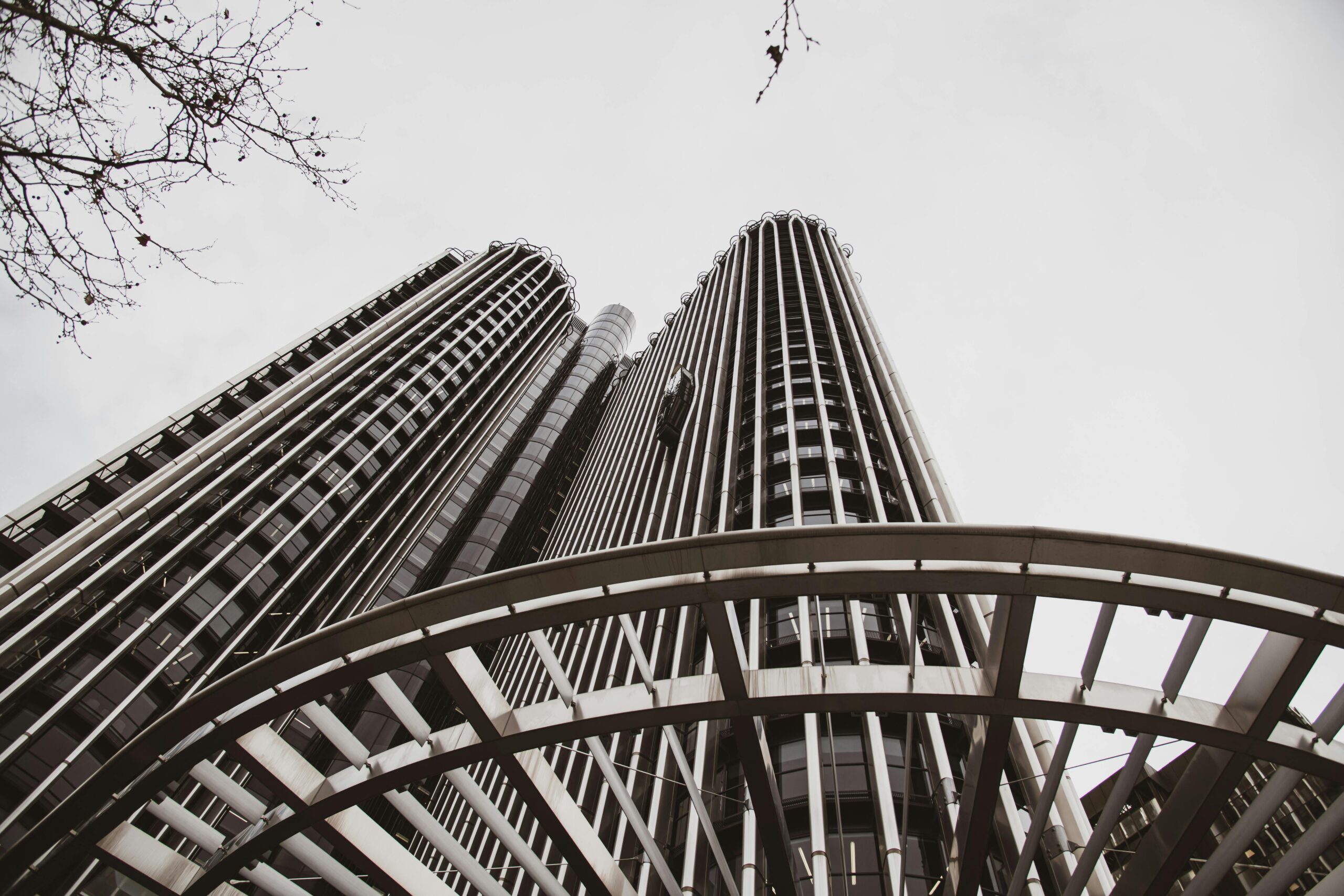 pexels-walter-cunha-2158705182-35551066