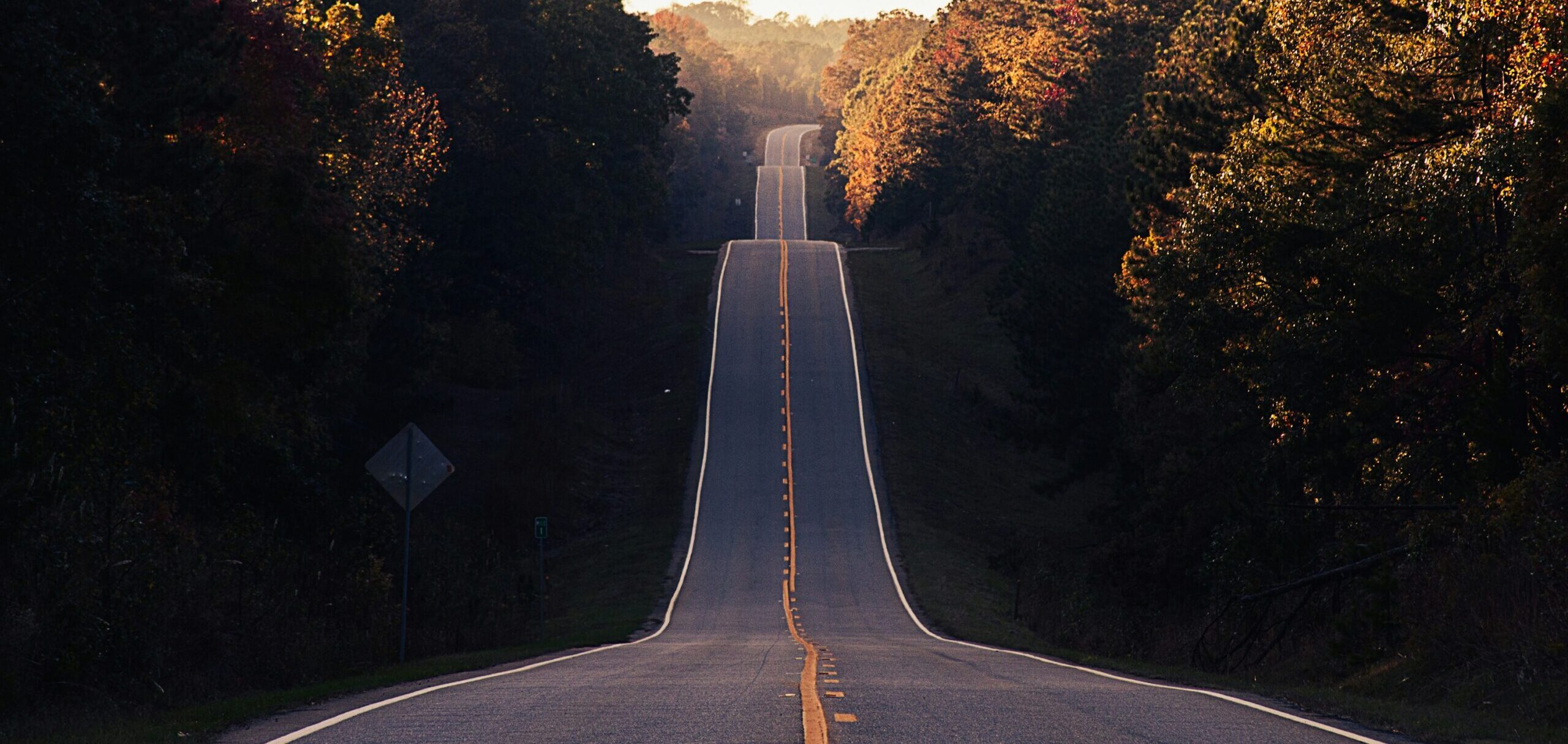 matt-foxx-IUY_3DvM__w-unsplash