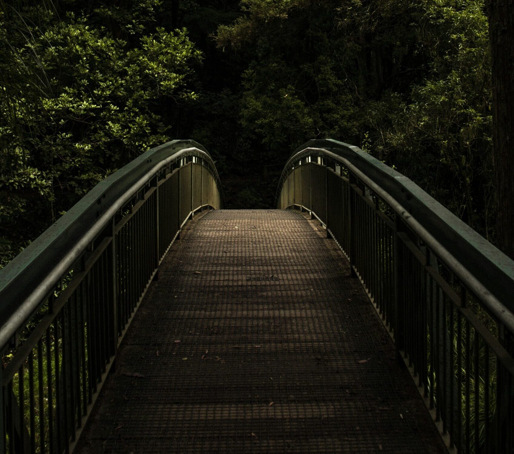 asap-pang-Us2KDzmnUCo-unsplash