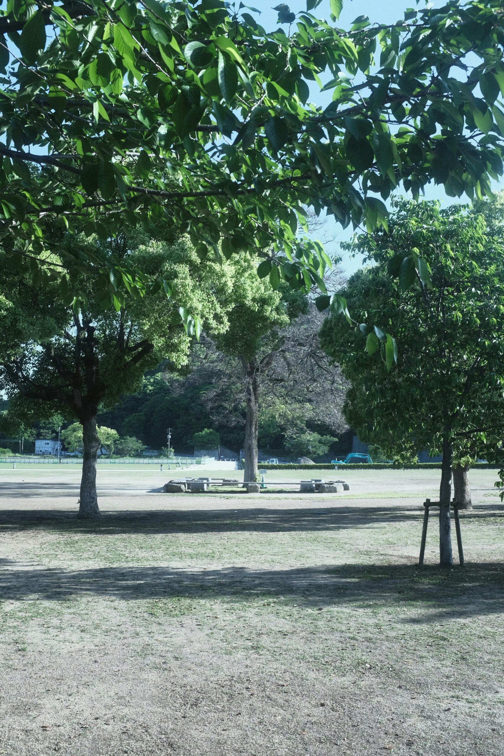 pexels-mak_-jp-107017486-27028919