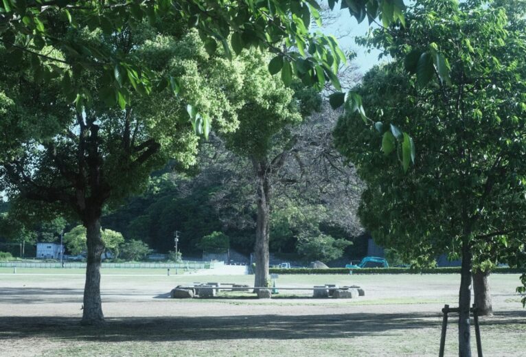 pexels-mak_-jp-107017486-27028919